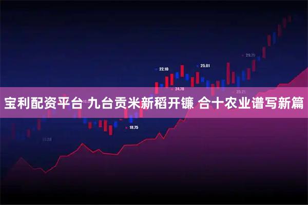 宝利配资平台 九台贡米新稻开镰 合十农业谱写新篇