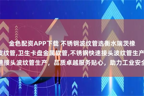 金色配资APP下载 不锈钢波纹管选衡水瑞茨橡塑，专注不锈钢法兰波纹管,卫生卡盘金属软管,不锈钢快速接头波纹管生产，品质卓越服务贴心，助力工业安全高效运行